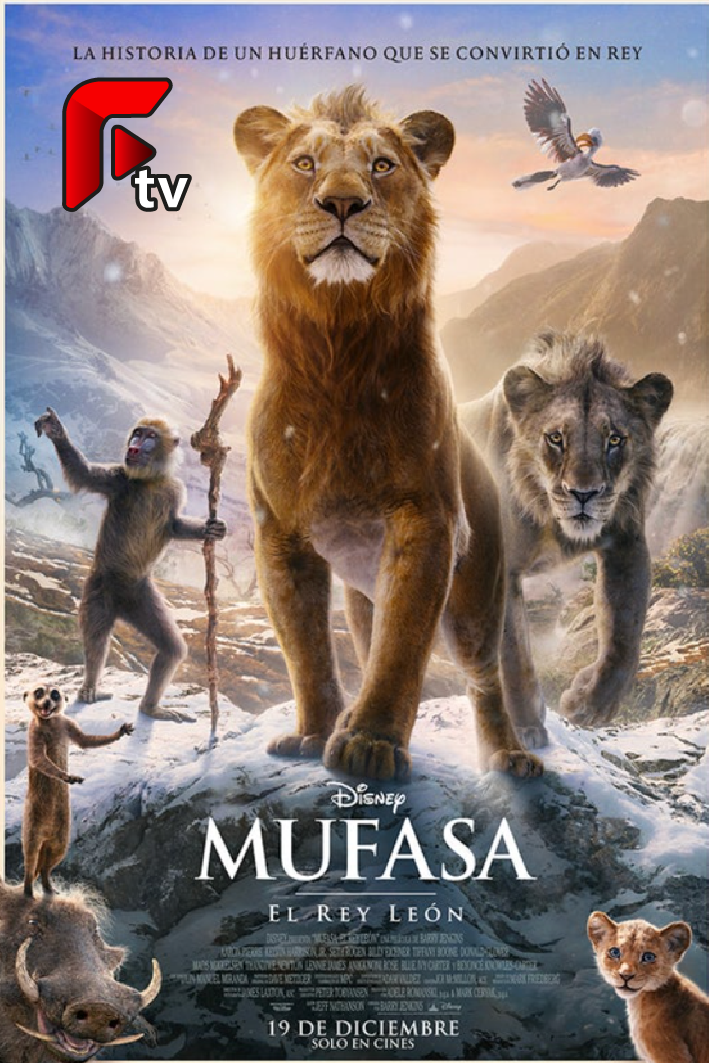 Imagen 31
